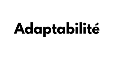 Adaptabilité Logo Partenaire